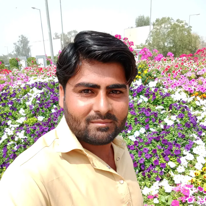 @sajjadsarwar786786