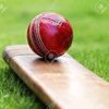 cricketonfire75