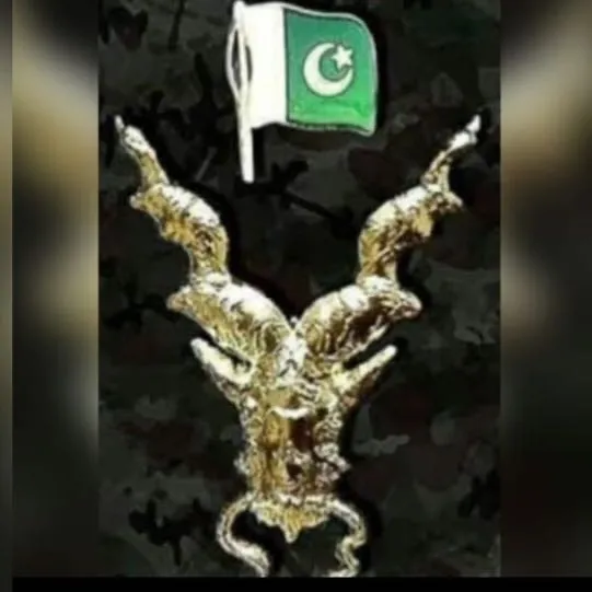 @riyyankhan615