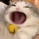 @wuin062