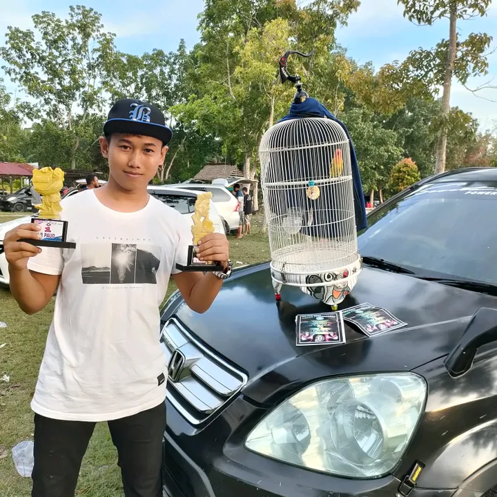 febribridshop