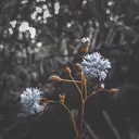 @black.profile__