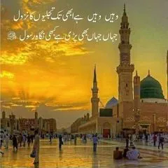 @zahidaafzal670