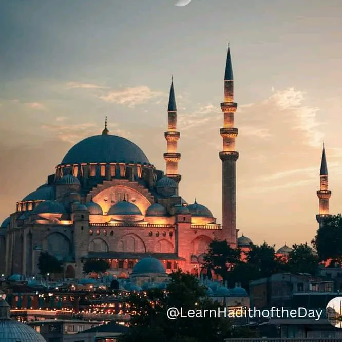 @learnhadithoftheday