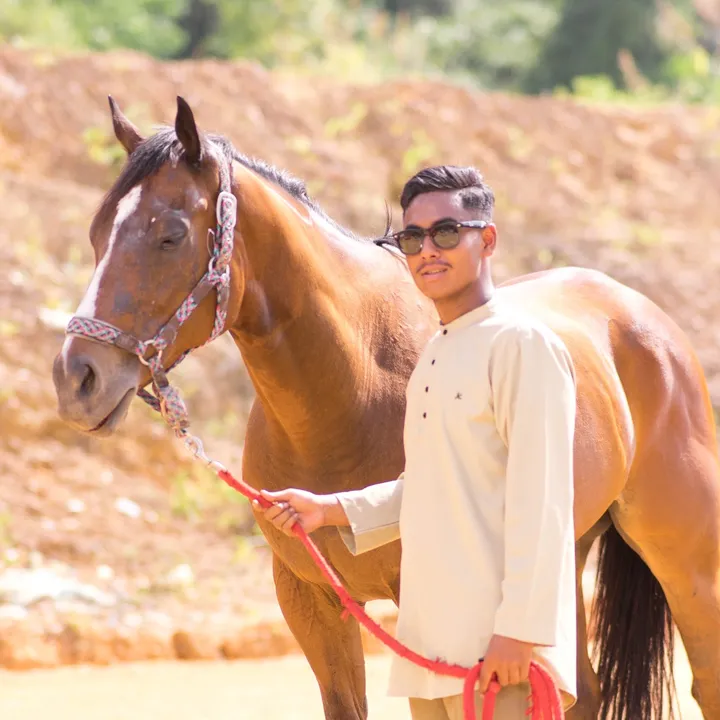 @iqmalmursyidi