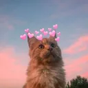 @aesvxge__