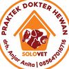 deltasolovetnew