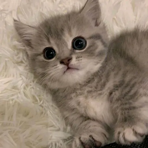 @wassupann