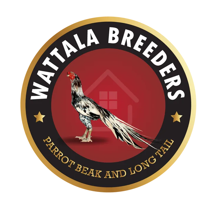 wattala_parrotbeak