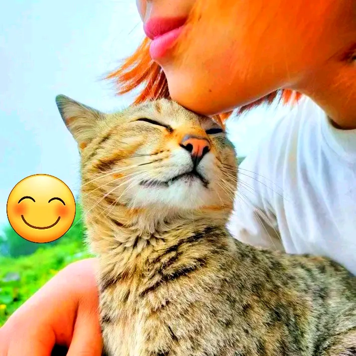 @saya__sherpa