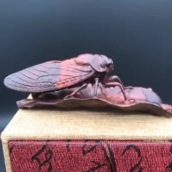 @twscdmnuq4e