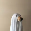 @storyis.me