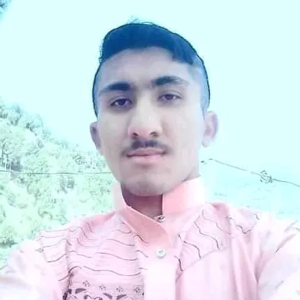 pindiskater02