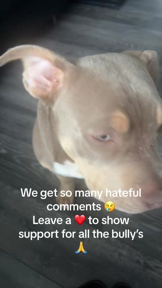 TikTok video thumbnail by ronald_the_tri