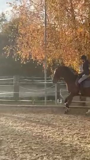 TikTok video thumbnail by damaris.zh