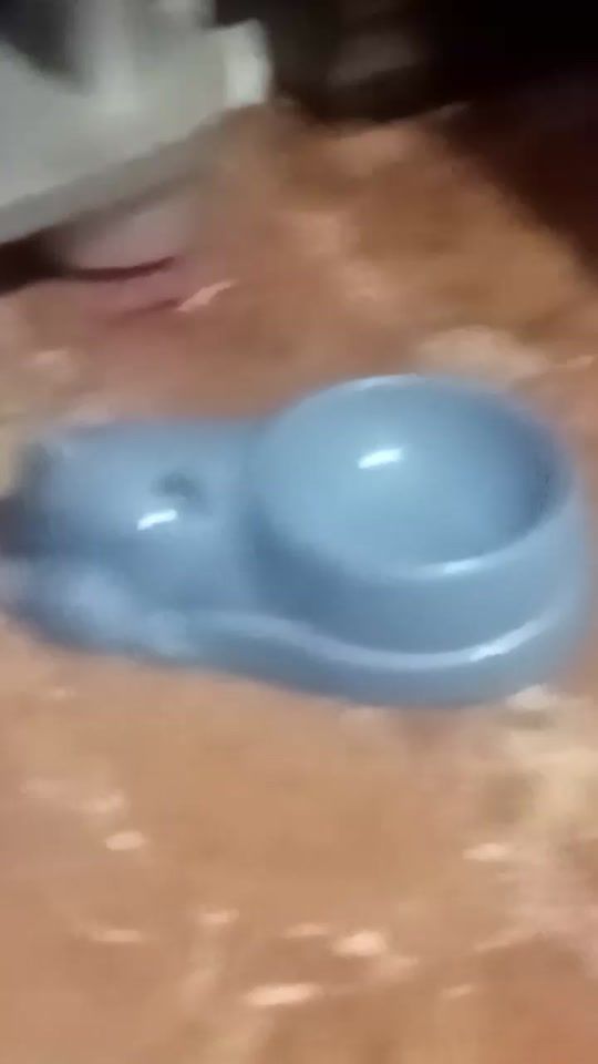 TikTok video thumbnail by cristoeilmiosalvatore