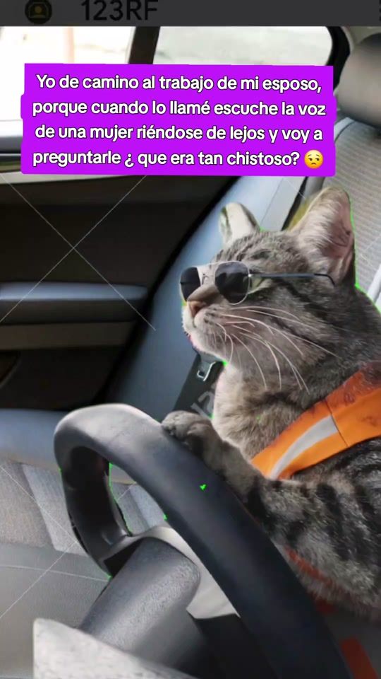 TikTok video thumbnail by lilianriberanegre