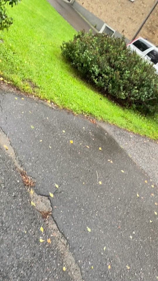 TikTok video thumbnail by silverplatsalbin5