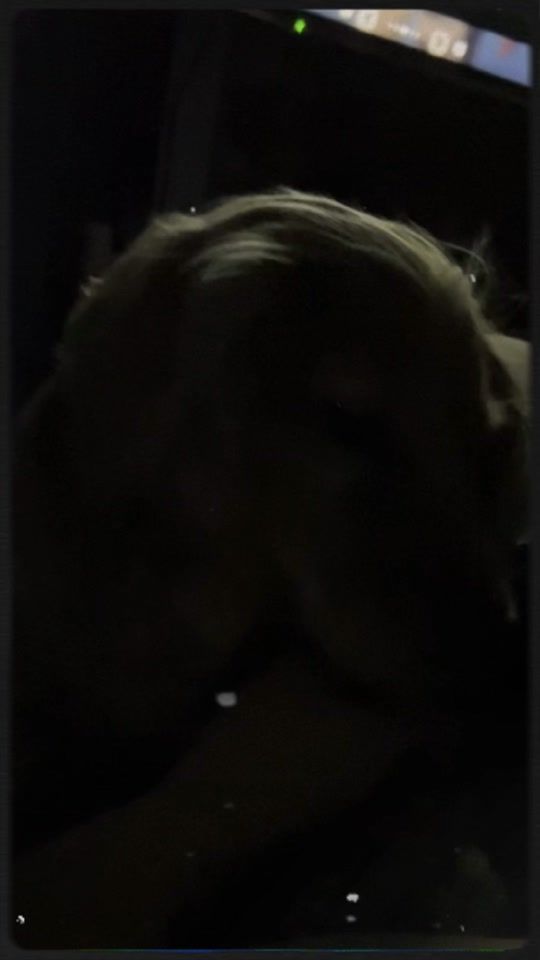 TikTok video thumbnail by sumosummer202