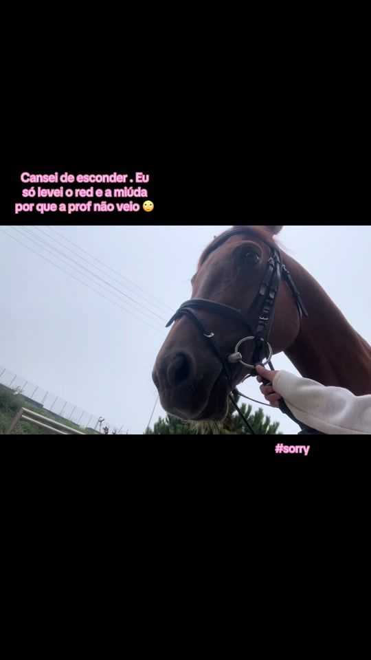 TikTok video thumbnail by maria.3795