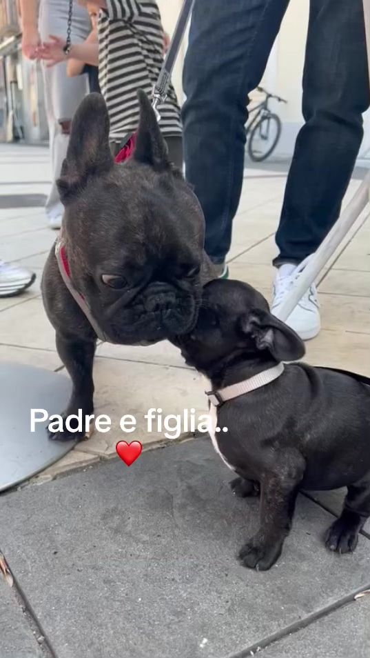 TikTok video thumbnail by fabio_rinaldi25
