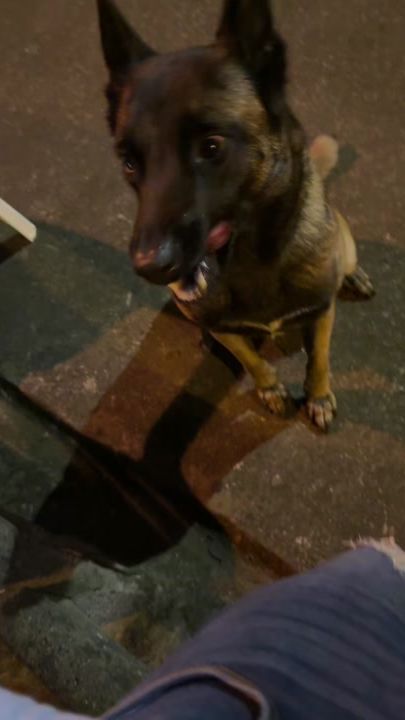 TikTok video thumbnail by raulcontrerass._6