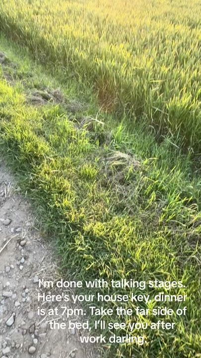 TikTok video thumbnail by benstrain