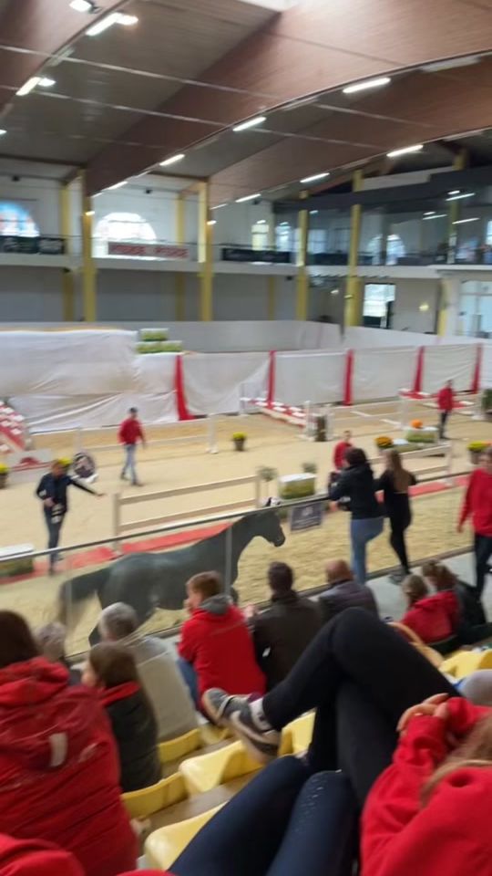 TikTok video thumbnail by wuzl.at