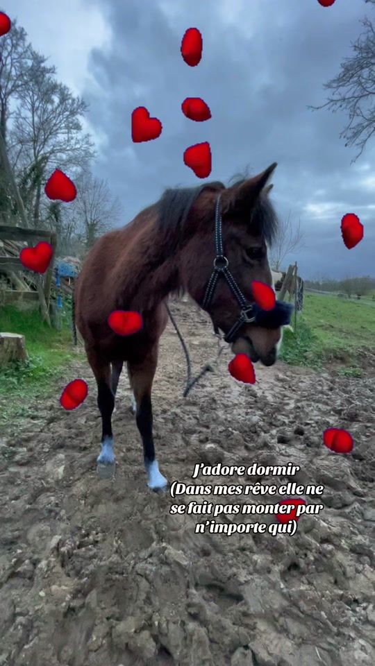 TikTok video thumbnail by audreyy_equitt