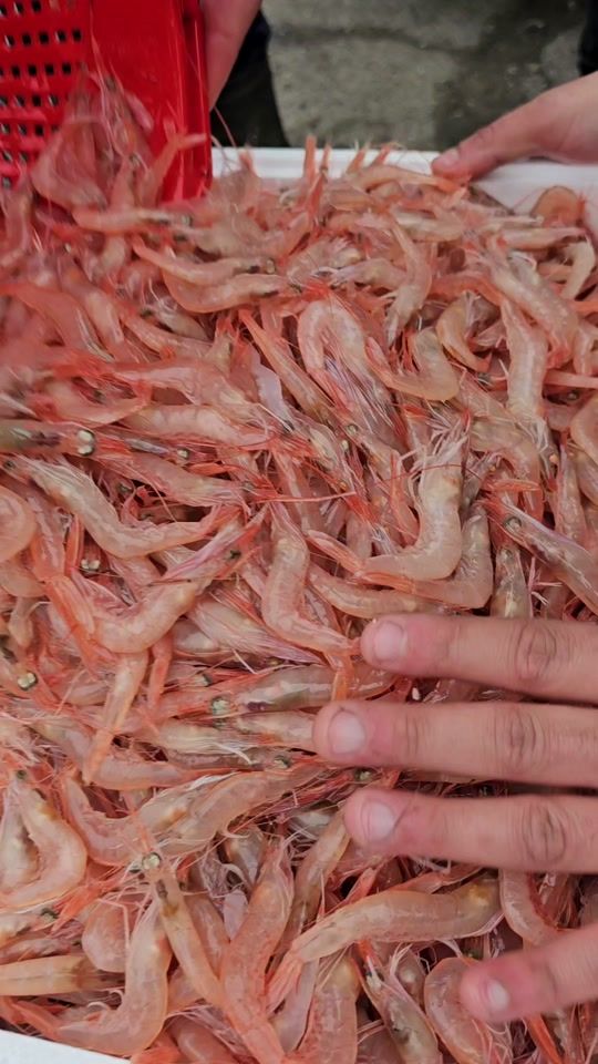 TikTok video thumbnail by salvatoremolino5