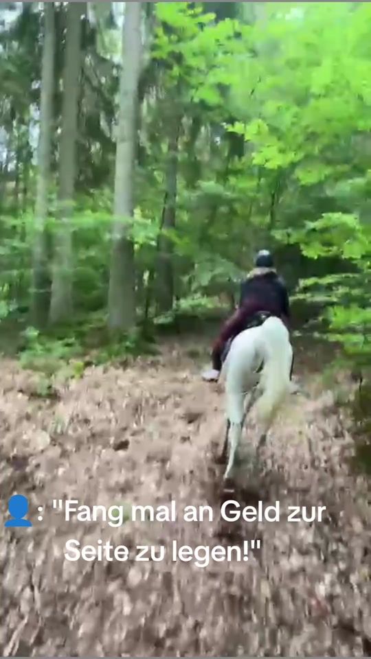 TikTok video thumbnail by horses.__.queen