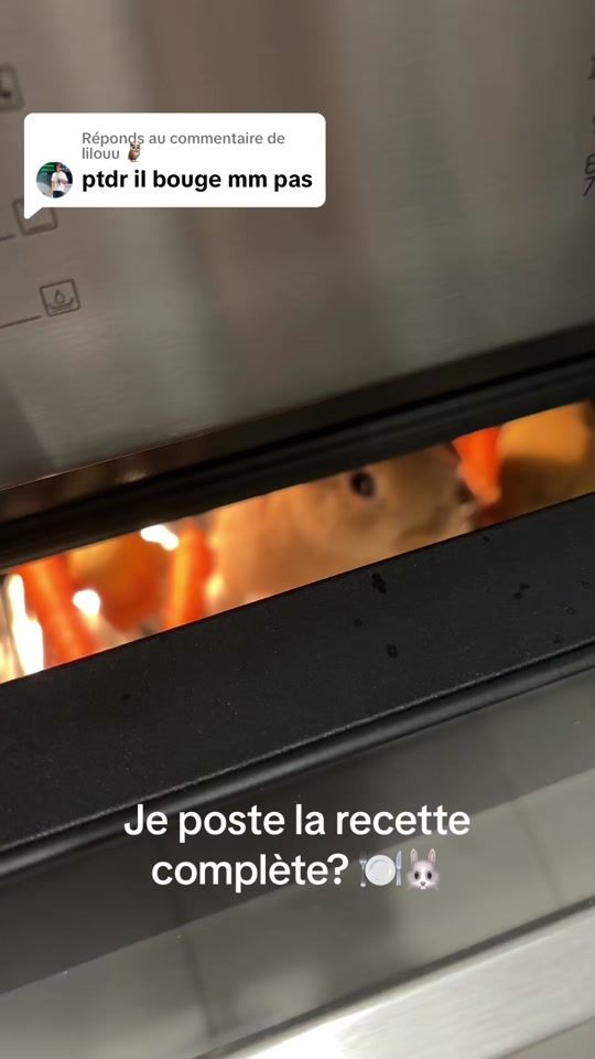 TikTok video thumbnail by may_2b