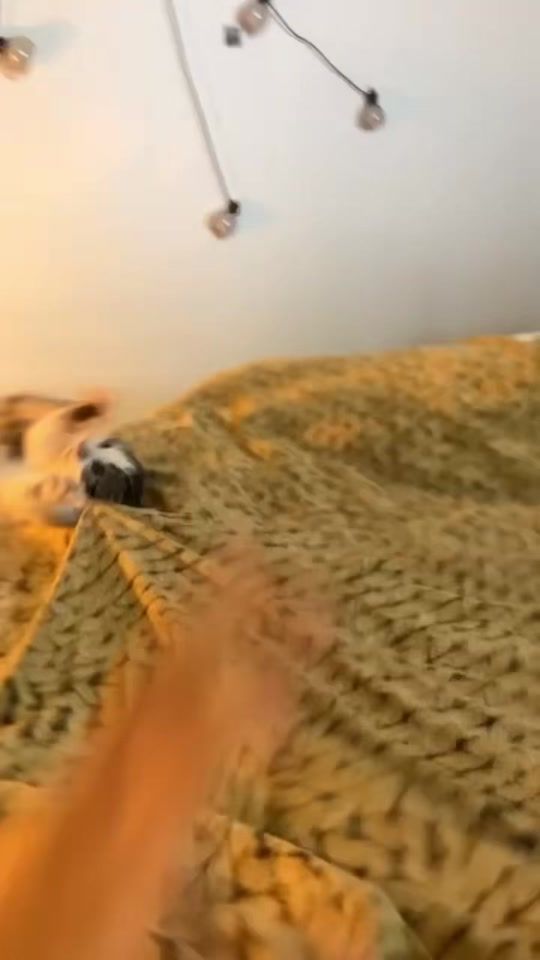 TikTok video thumbnail by ameliekke.06.2