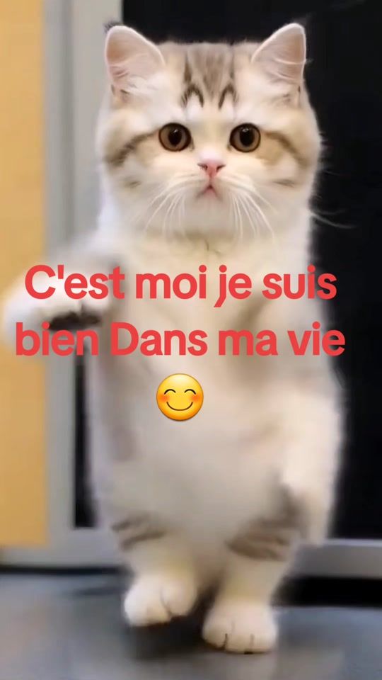 TikTok video thumbnail by tigresse341