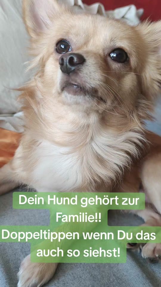 TikTok video thumbnail by chi.carlo