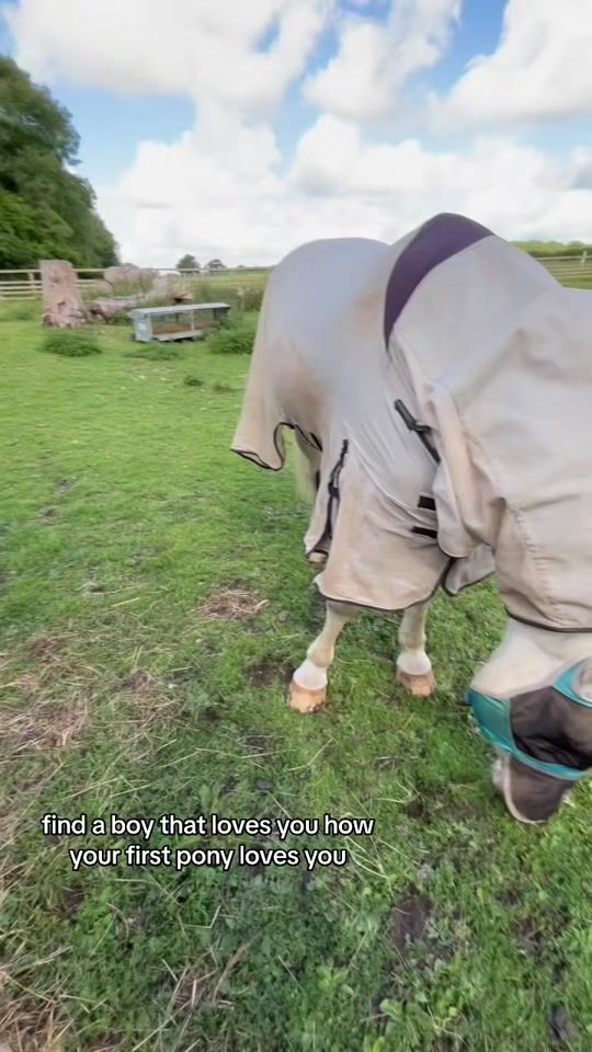 TikTok video thumbnail by mygreyeddy