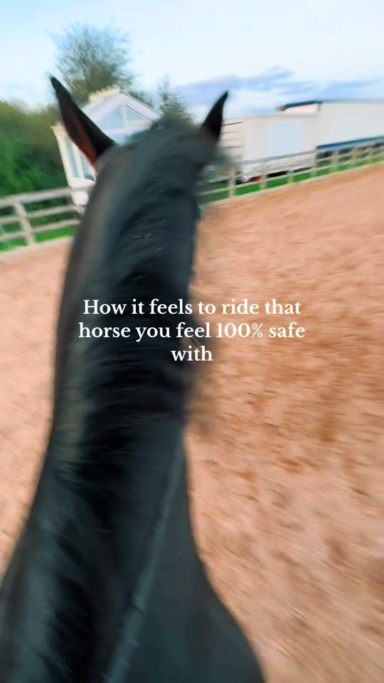 TikTok video thumbnail by evetaylorequestrian
