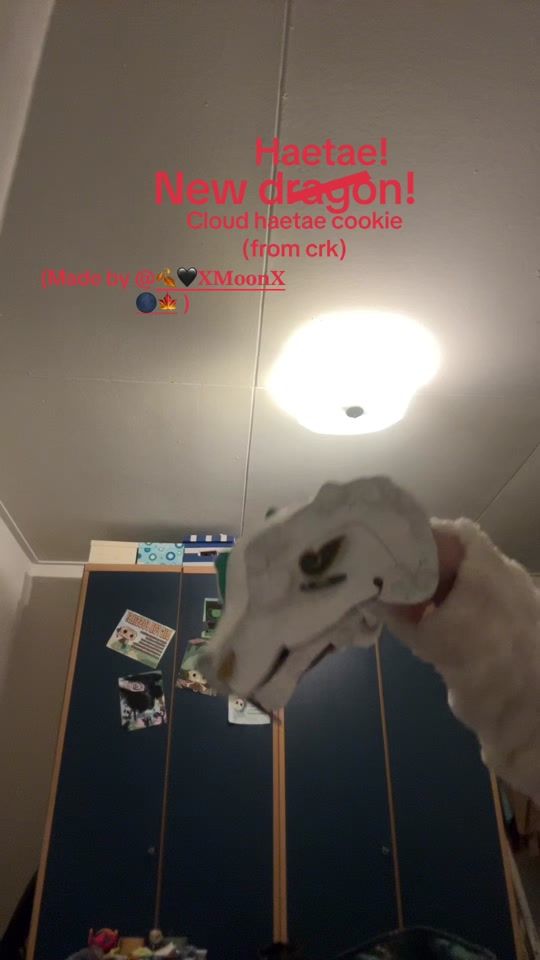 TikTok video thumbnail by flamy.dreamur