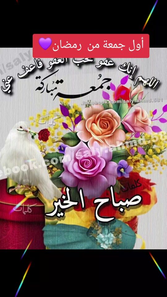 TikTok video thumbnail by salma614_
