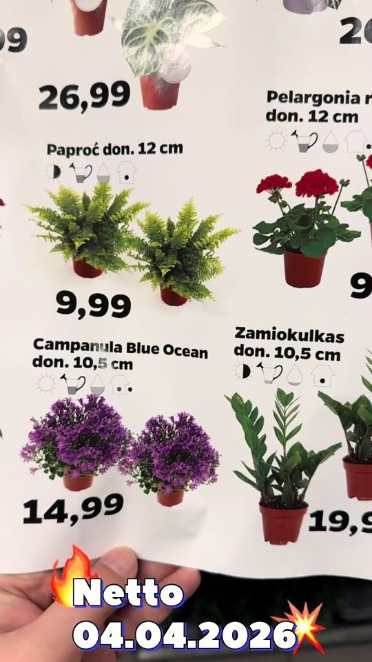 TikTok video thumbnail by maciej.plants
