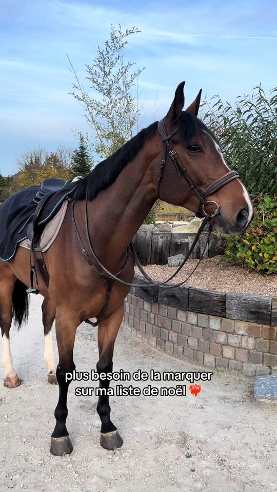 TikTok video thumbnail by mhd.nolan