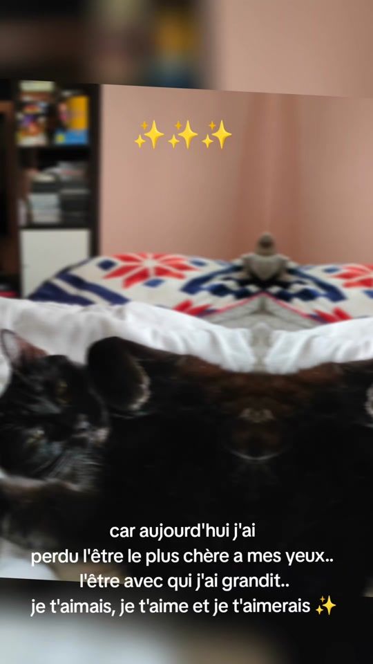 TikTok video thumbnail by florine_wtp