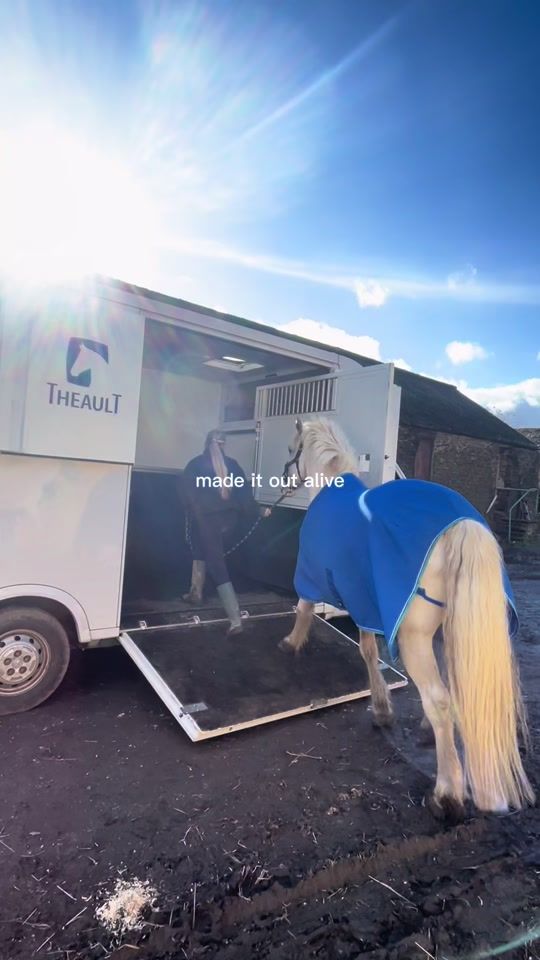 TikTok video thumbnail by henry.and.his.human