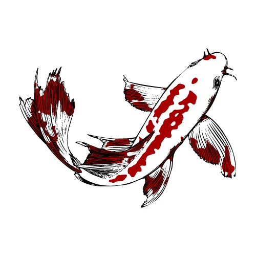 wereso.koi