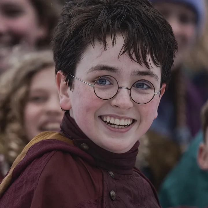harrypotter