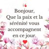 pheline.palme