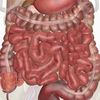 organman00