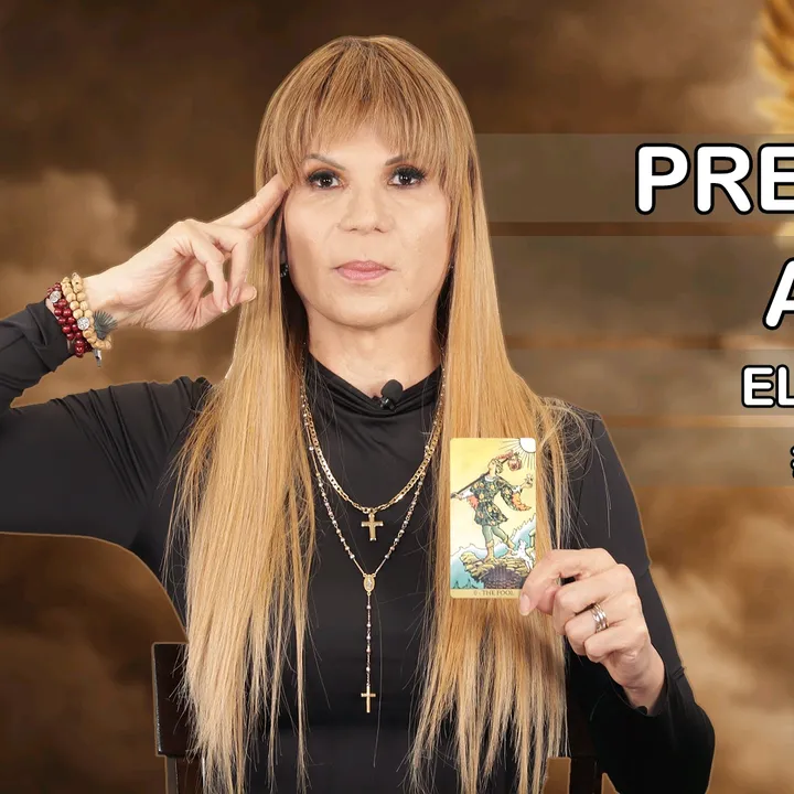 mhonividente13