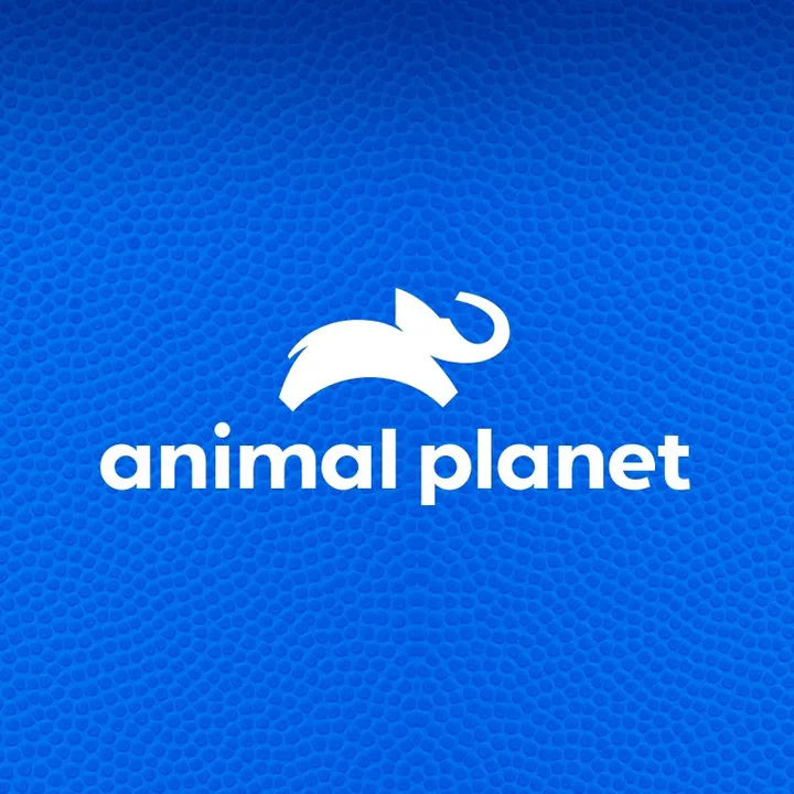 @animalplanet