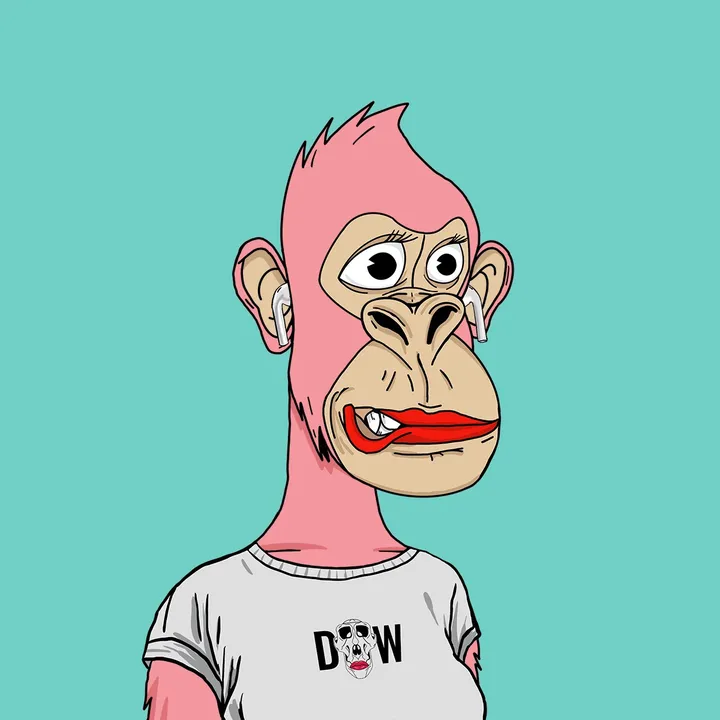 free_11dom_11